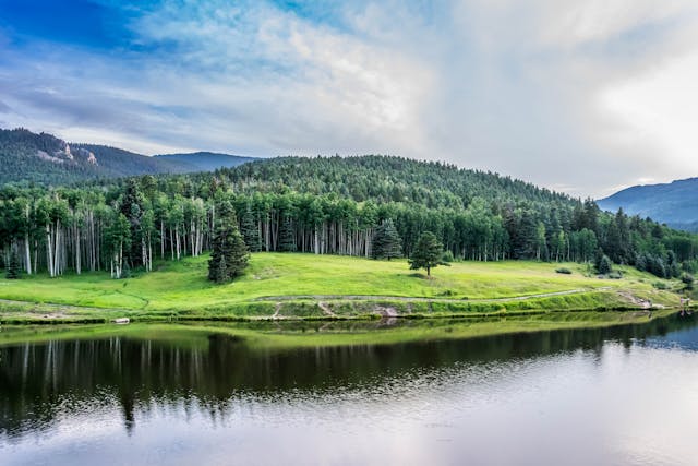 How to Register to Vote in Colorado