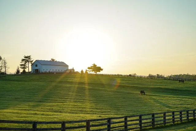 How to Register to Vote in Kentucky